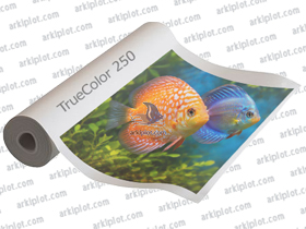 TrueColor 250g 0,610x30m